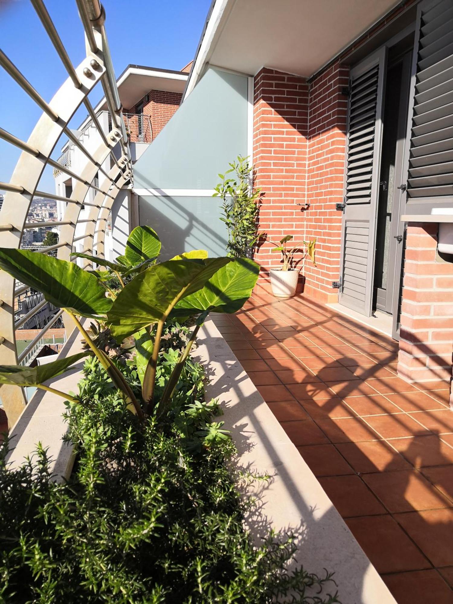Hakuna Matata B&B Pescara Eksteriør billede